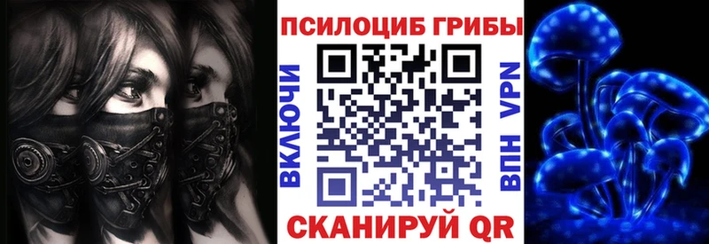 как найти закладки  Северо-Курильск  Псилоцибиновые грибы мицелий 